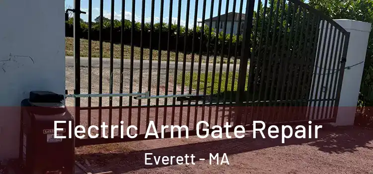 Electric Arm Gate Repair Everett - MA
