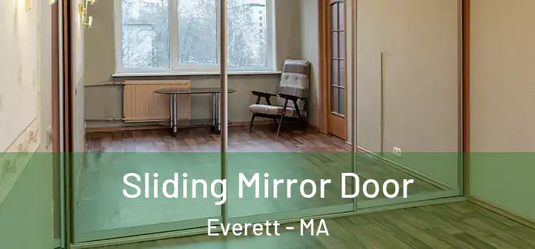  Sliding Mirror Door Everett - MA